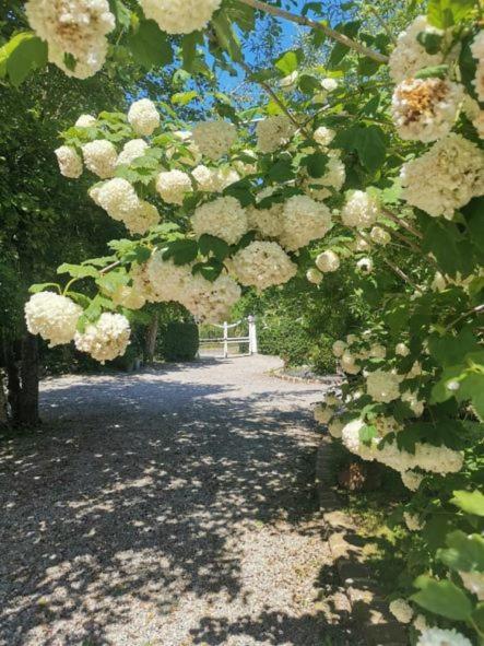 Le Clos De La Rose Gite Bien Etre Wirwignes エクステリア 写真