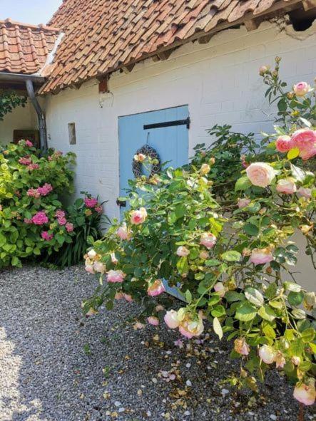 Le Clos De La Rose Gite Bien Etre Wirwignes エクステリア 写真